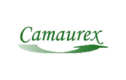 PLATEFORME37-website-partenaire-logo-couleur_camaurex